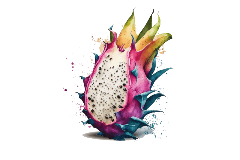 watercolor-dragon-fruit-clipart-bundle