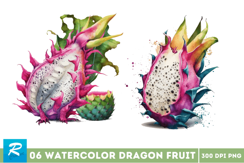 watercolor-dragon-fruit-clipart-bundle