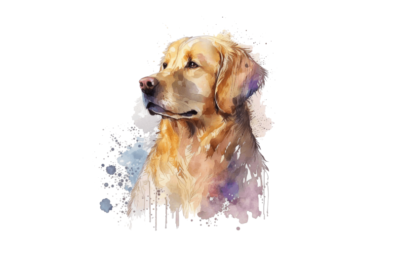 watercolor-golden-retriever-clipart-bundle