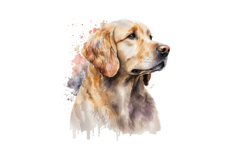 watercolor-golden-retriever-clipart-bundle