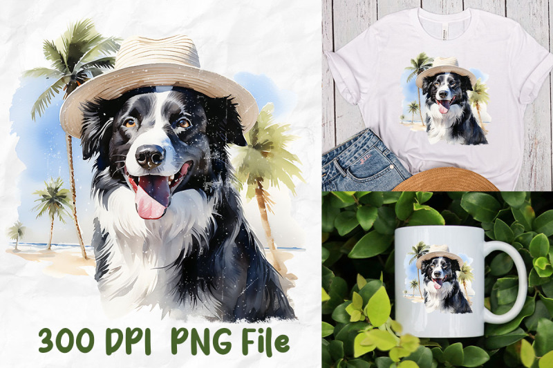 vintage-border-collie-wear-sun-hat-beach