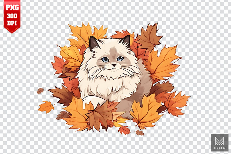 cute-birman-cat-in-autumn-clipart