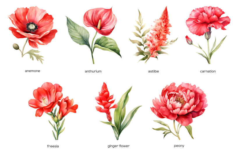 watercolor-red-wedding-flowers-clipart-red-flower-clip-art