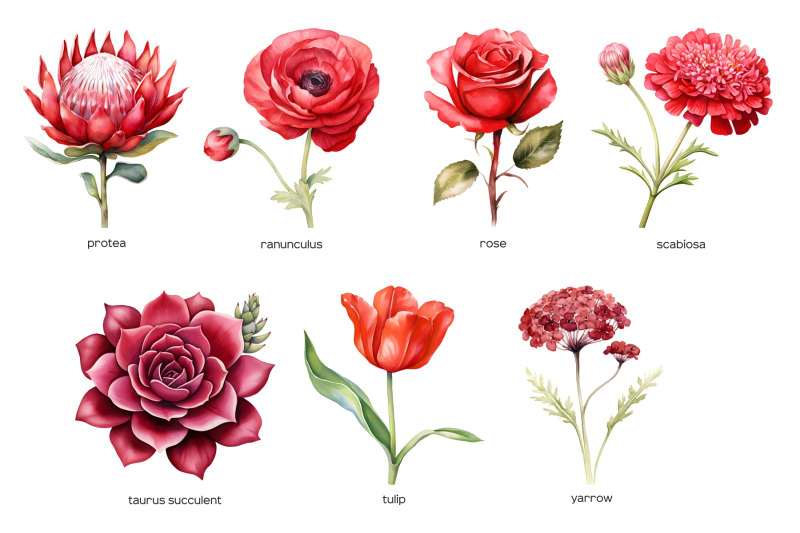 watercolor-red-wedding-flowers-clipart-red-flower-clip-art