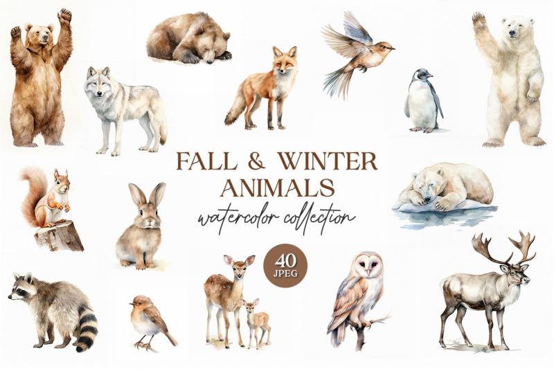 fall-amp-winter-animals