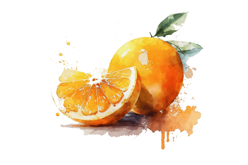 watercolor-oranges-clipart-bundle