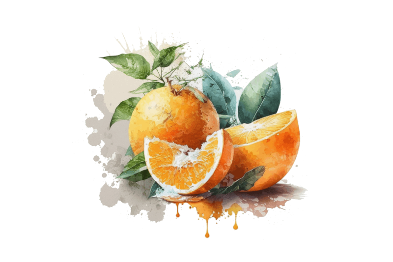 watercolor-oranges-clipart-bundle