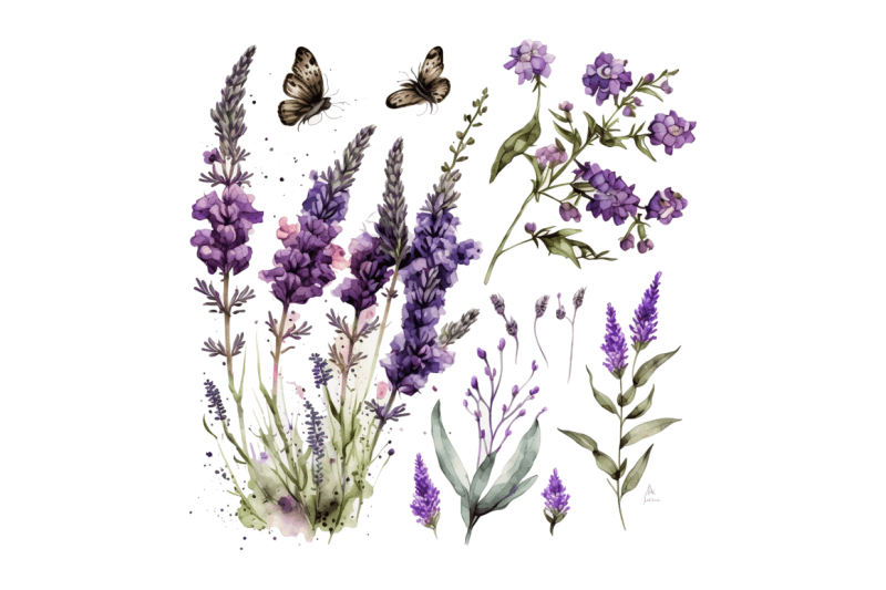 watercolor-lavender-garden-clipart-bundle