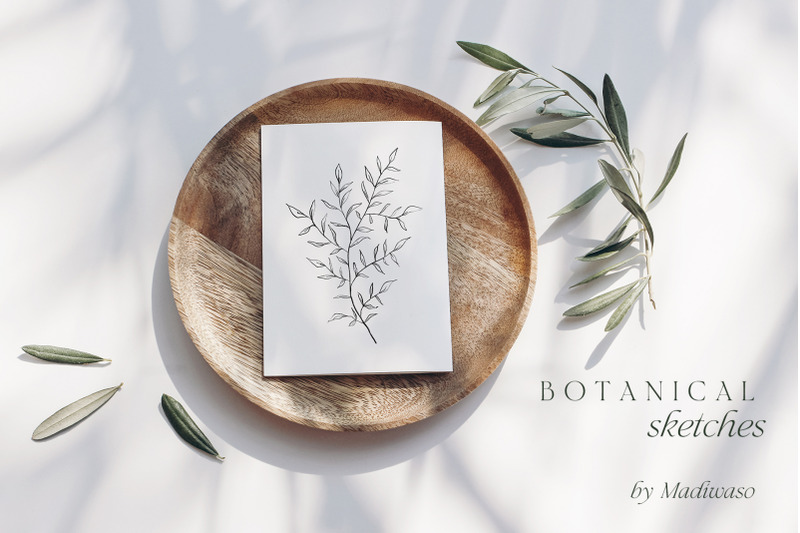 minimalist-floral-botanical-line-art