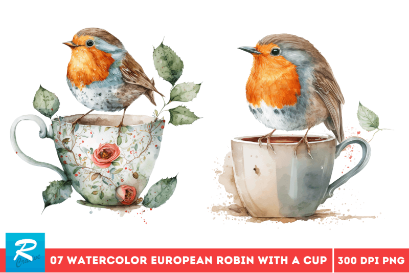 watercolor-cute-european-robin-with-a-cup-bundle