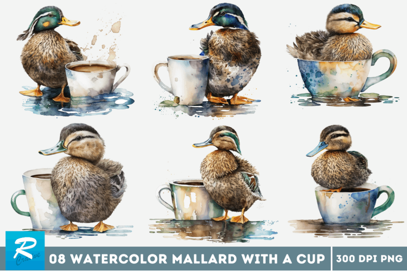 watercolor-cute-mallard-with-a-cup-bundle