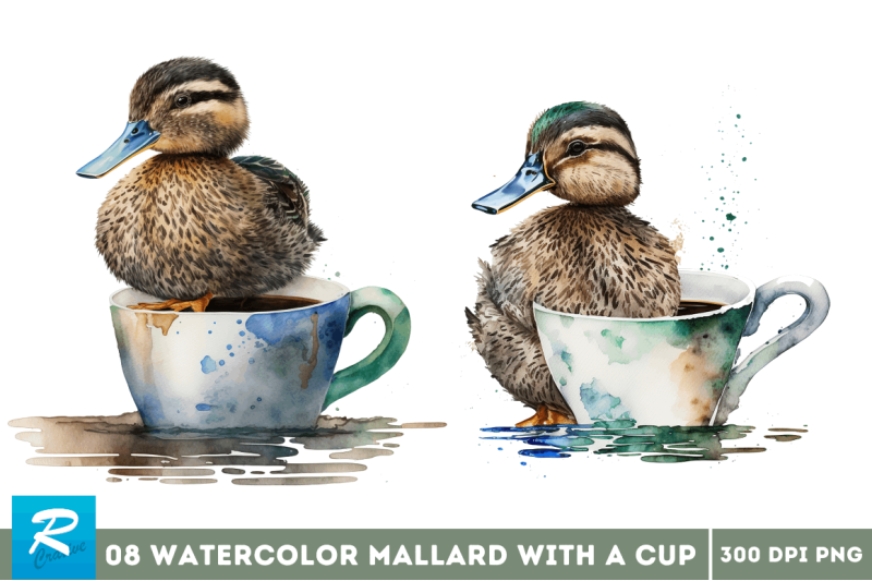 watercolor-cute-mallard-with-a-cup-bundle