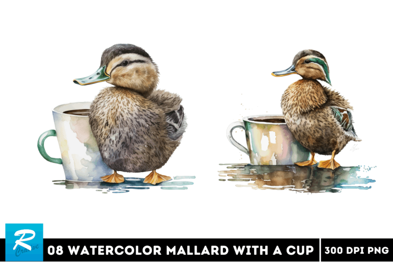 watercolor-cute-mallard-with-a-cup-bundle