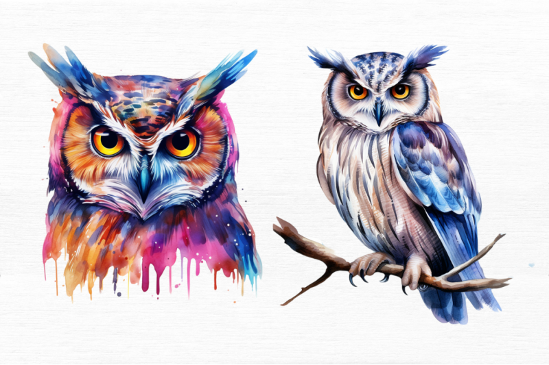 owl-watercolor-clipart