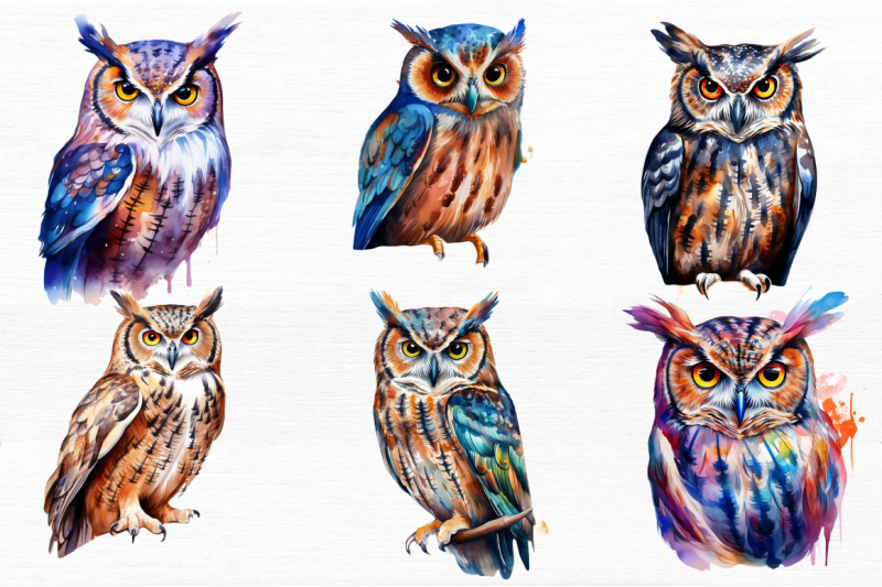 owl-watercolor-clipart