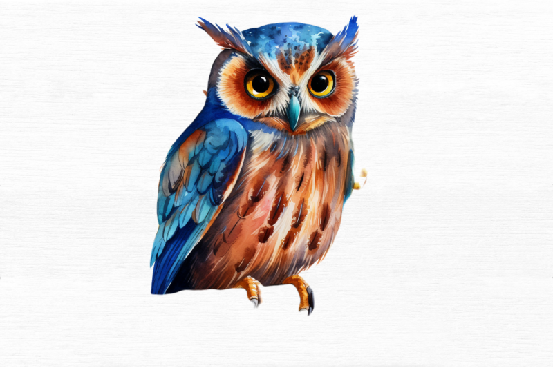 owl-watercolor-clipart