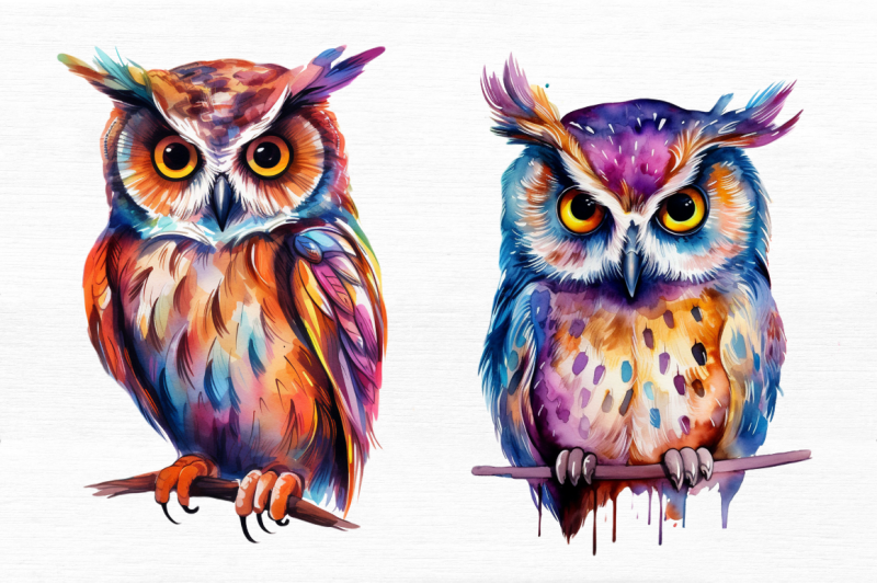 owl-watercolor-clipart