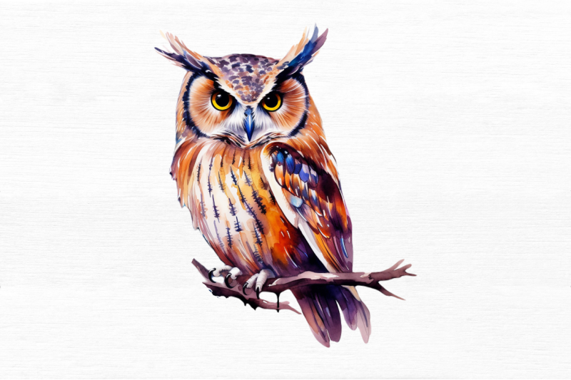 owl-watercolor-clipart