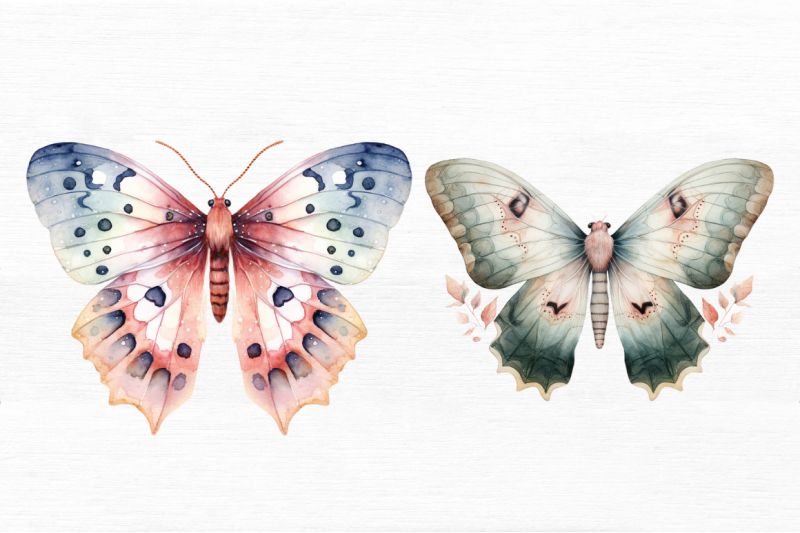 watercolour-mystical-moth-clipart