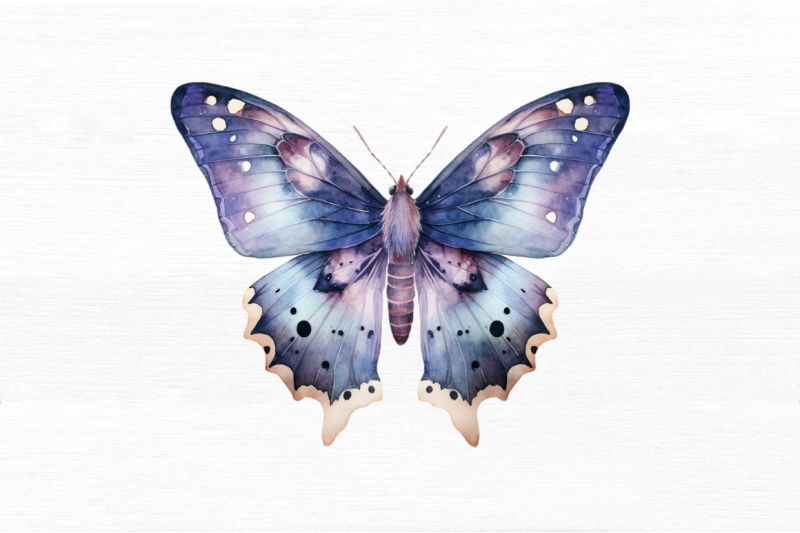 watercolour-mystical-moth-clipart