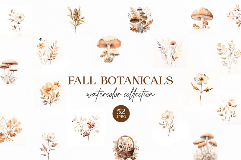 fall-botanicals