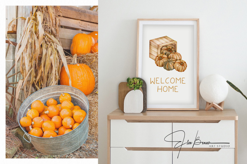 pumpkin-harvest-watercolor-collection