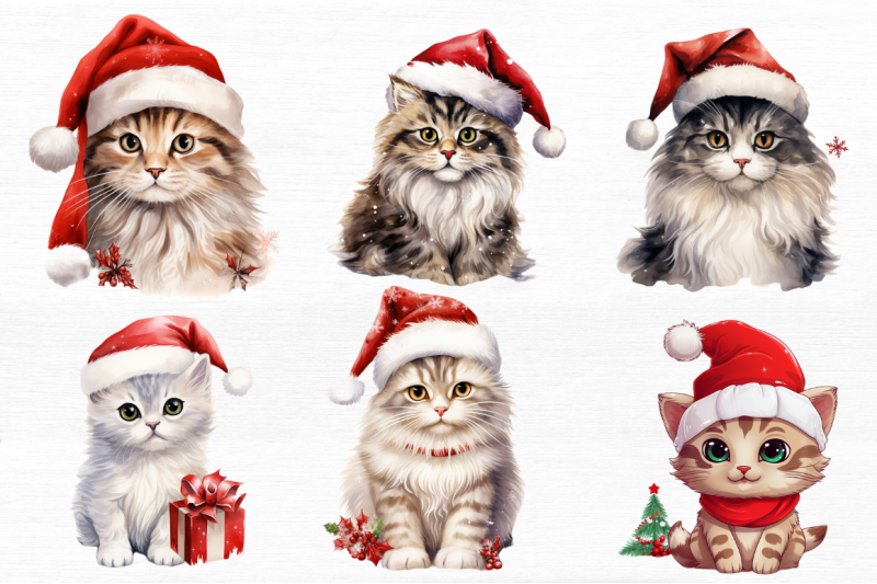 christmas-cat-single-collection-clipart