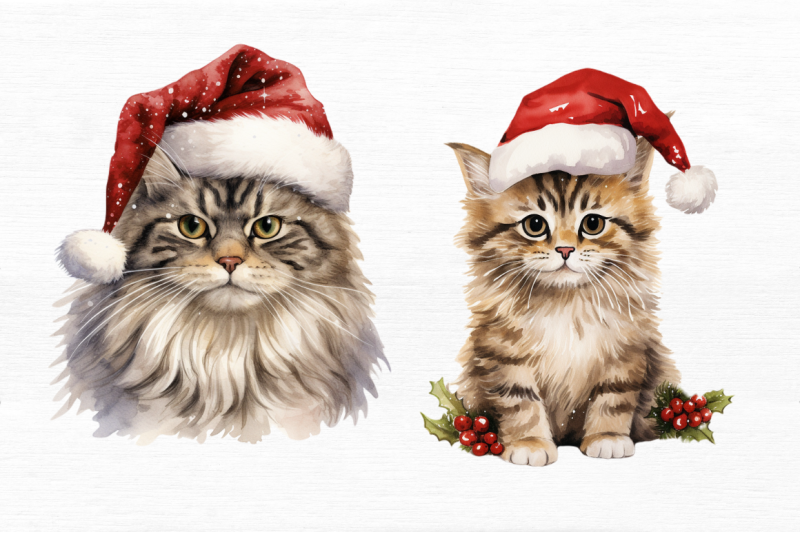 christmas-cat-single-collection-clipart