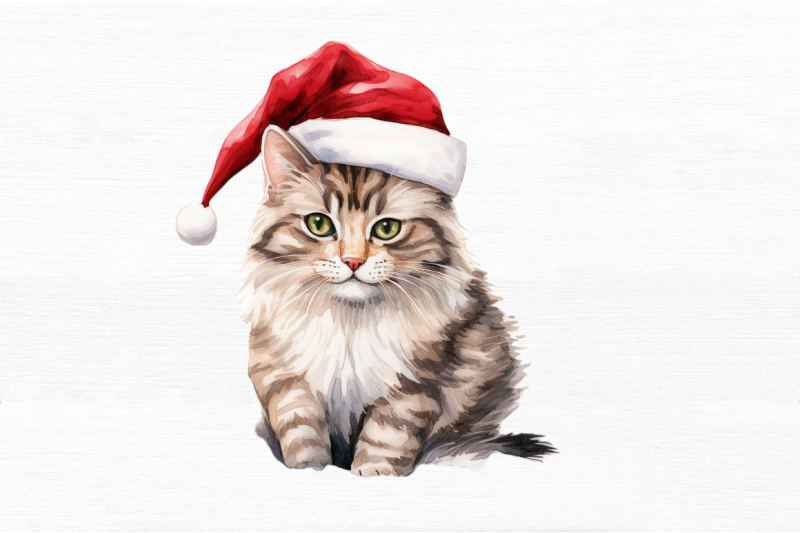 christmas-cat-single-collection-clipart