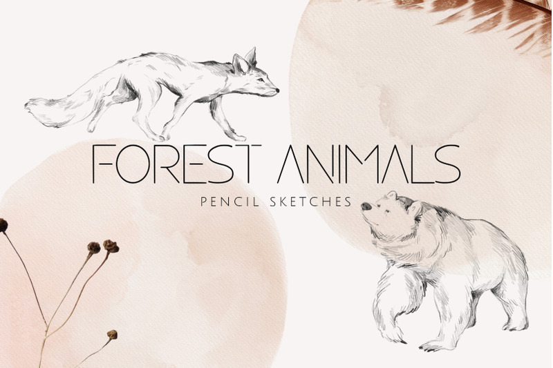 forest-animals-pencil-sketches