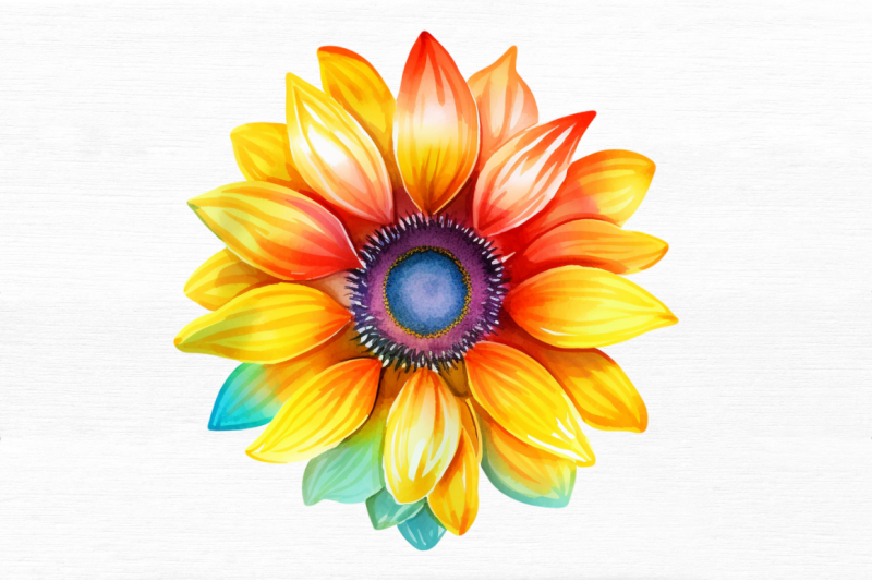 sunflower-rainbow-watercolor-clipart