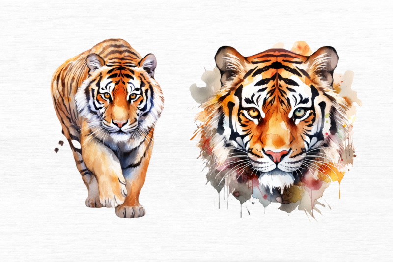 watercolor-tiger-clipart