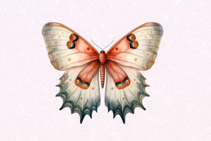 watercolour-mystical-moth-clipart