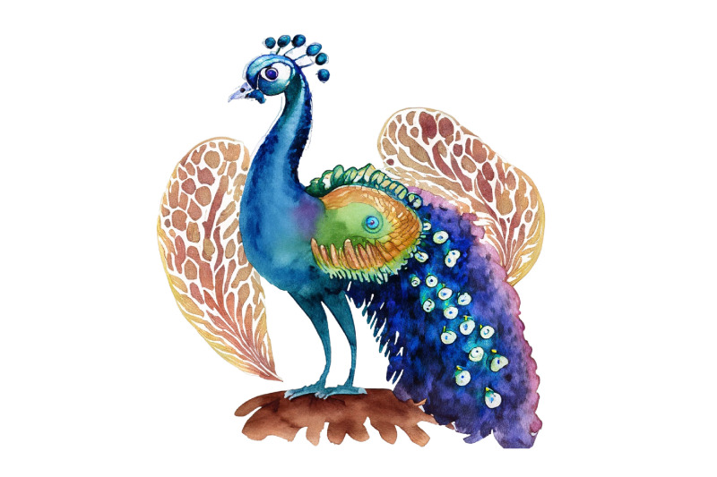 watercolor-peacock-clipart-bundle-design