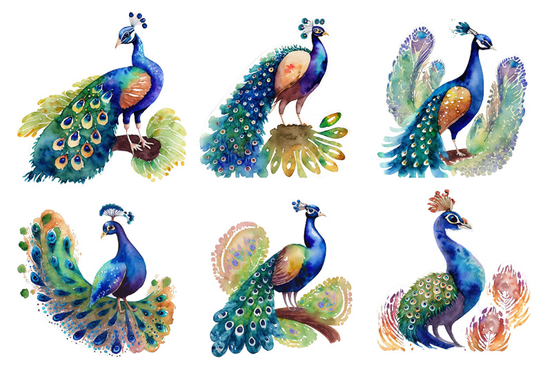 watercolor-peacock-clipart-bundle-design