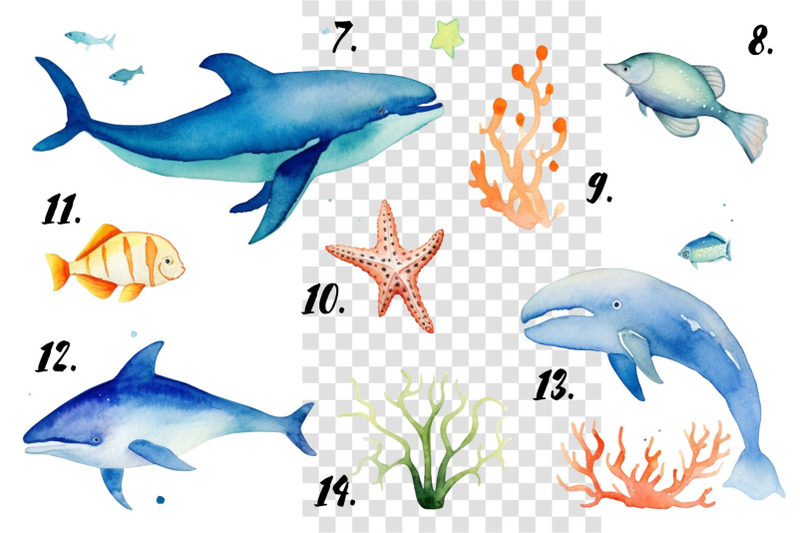 dreamy-ocean-clipart-collection-png