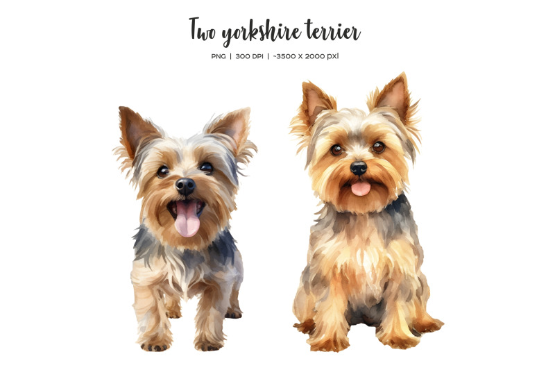 watercolor-christmas-yorkshire-terrier-clipart-xmas-yorkshire-terrier