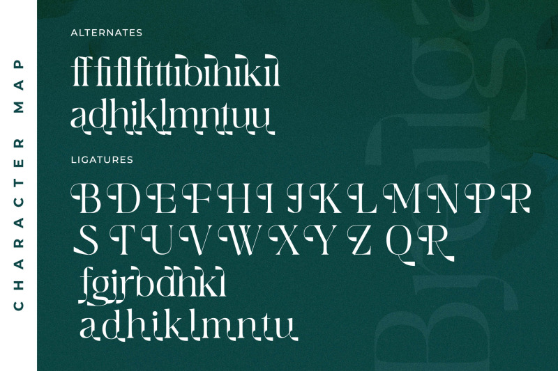 breilga-typeface
