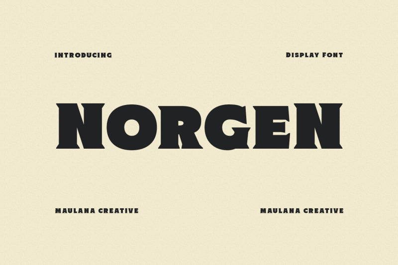 norgen-heavy-serif-font