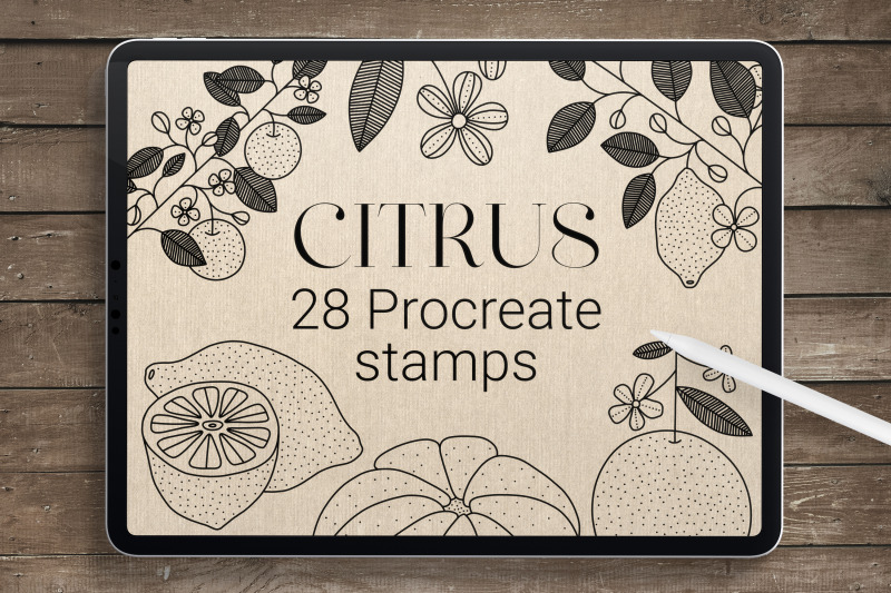 citrus-procreate-stamp-brushes