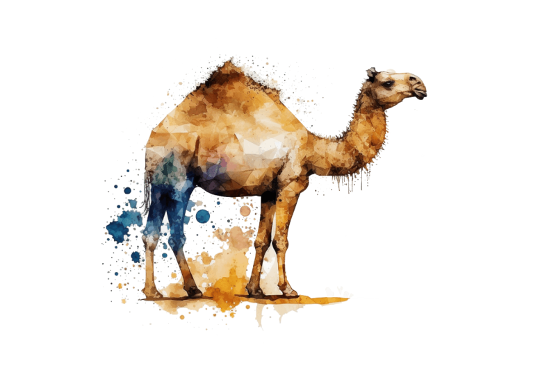 watercolor-camel-bundle