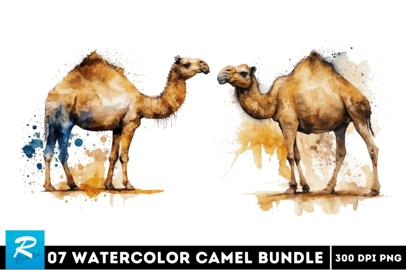 watercolor-camel-bundle