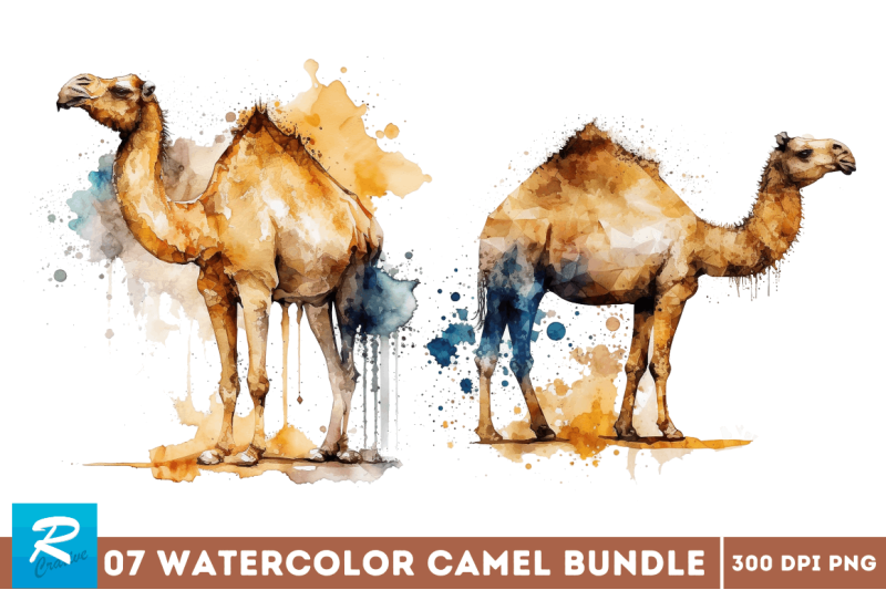 watercolor-camel-bundle