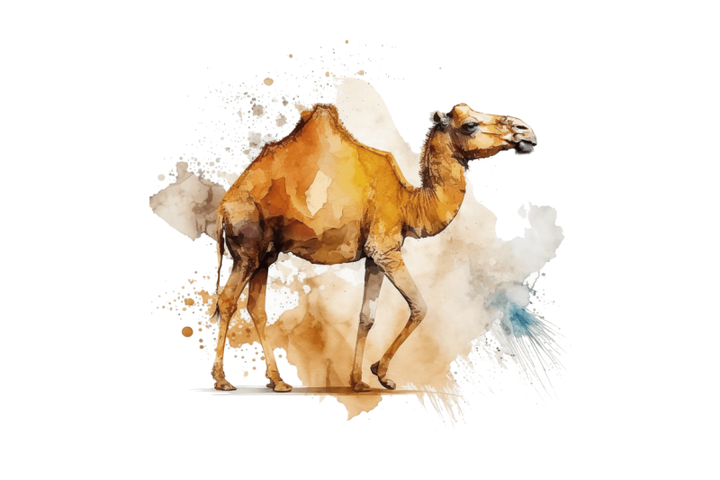 watercolor-camel-bundle