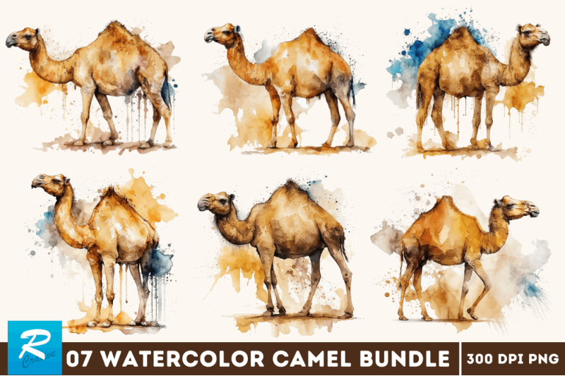 watercolor-camel-bundle