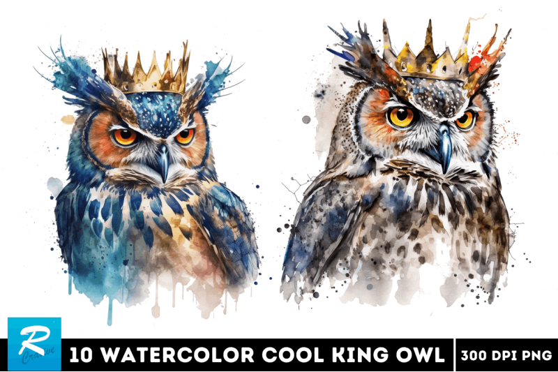 watercolor-cool-king-owl-bundle