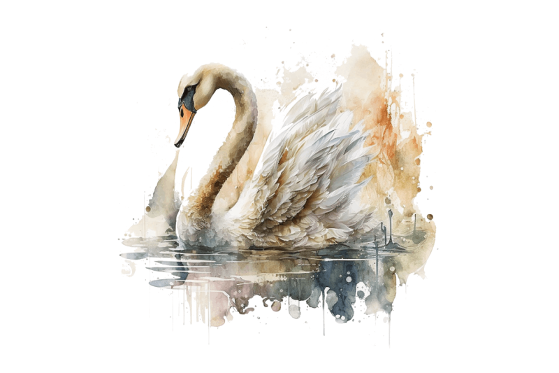 watercolor-swan-bundle