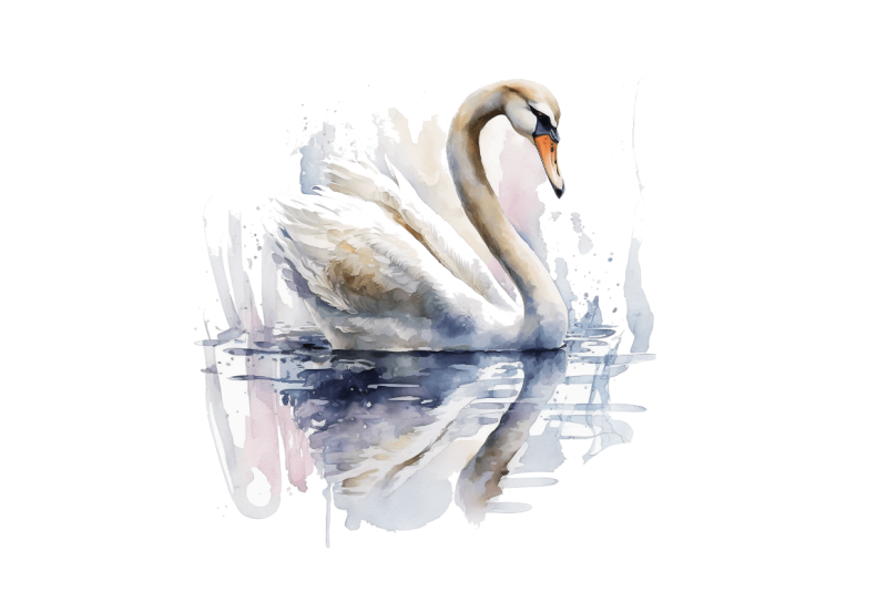 watercolor-swan-bundle