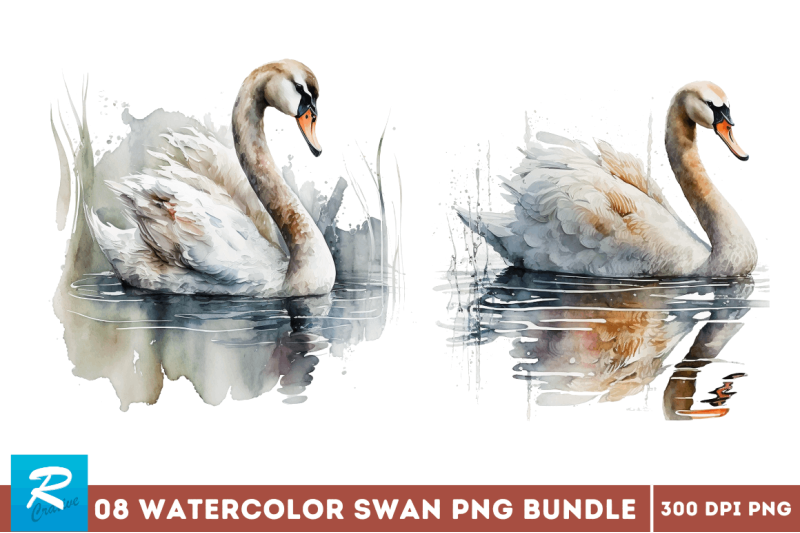 watercolor-swan-bundle