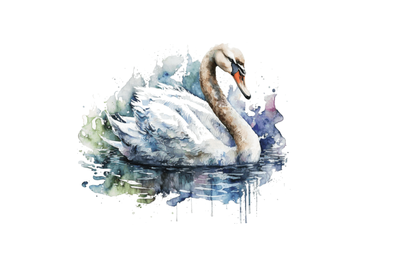 watercolor-swan-bundle